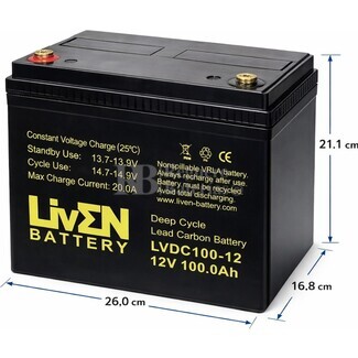 Bater�a Liven Battery LVDC100-12 | 12 voltios 100 amperios Ciclo Profundo